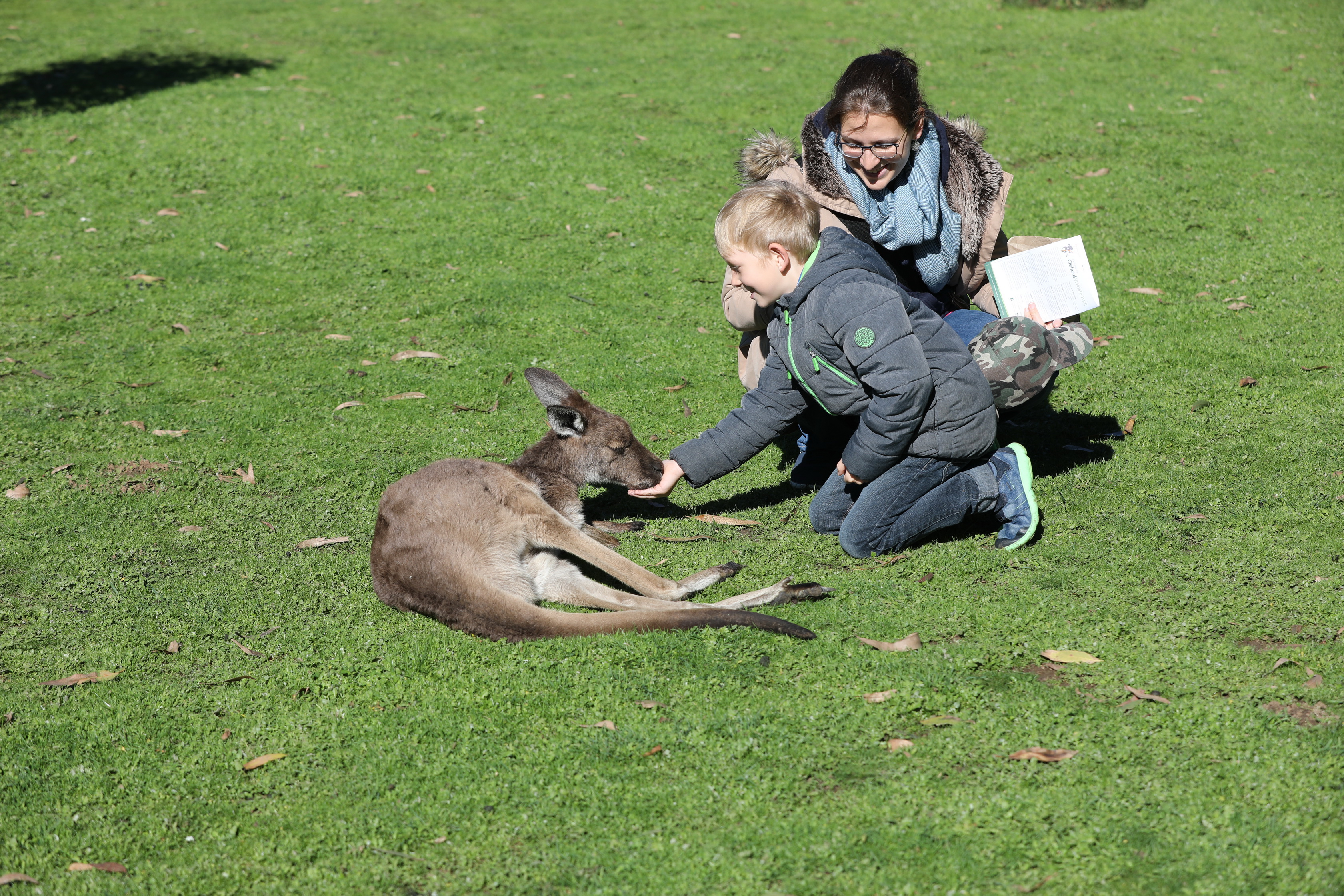 2019 07 19 13 56 32 Canon EOS 5D Mark IV 0016